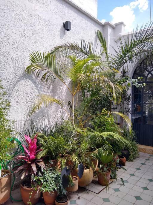 Casa Cuauhtemoc Villa Guadalajara Exterior foto